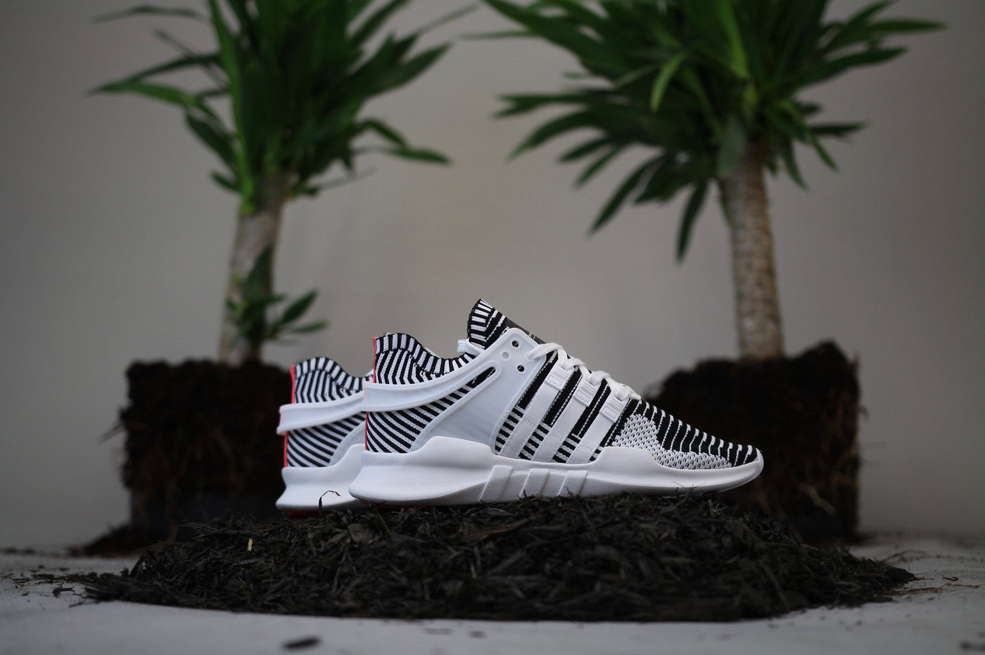 EQT SUPPORT ADV PK