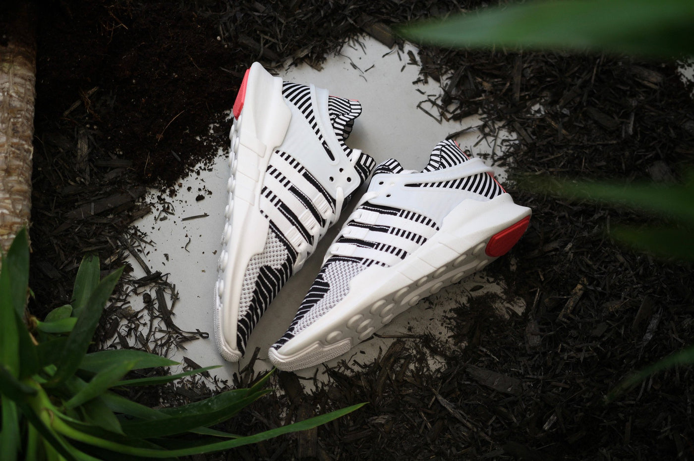 EQT SUPPORT ADV PK
